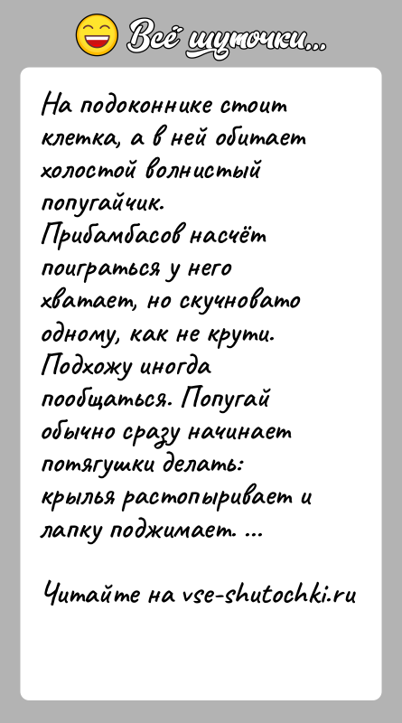 История: На подоконнике стоит клетка, а в ней обитает холостой волнистый попугайчик. Прибамбасов насчёт поиграться у него хватает, но скучновато одному,