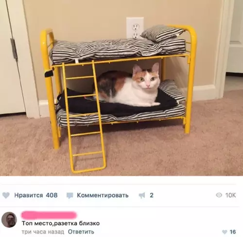 Смешная картинка №283454