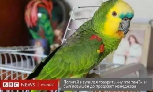 Смешная картинка №656123