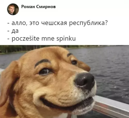 Смешная картинка №317515