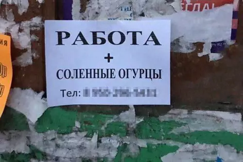 Смешная картинка №738517 Все что нужно  Работа