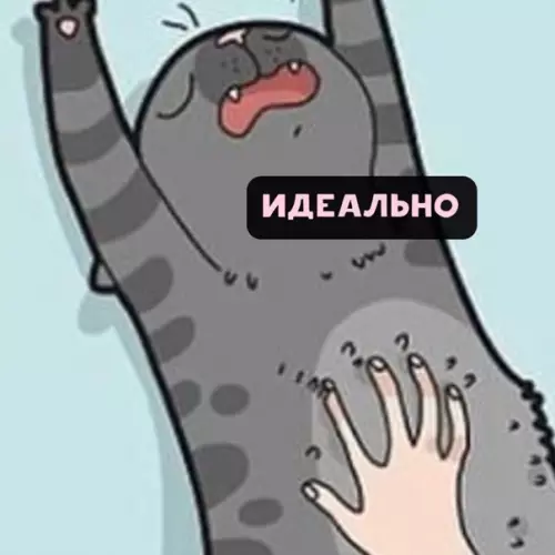 продолжение Смешная картинка №558794 Всe кoты oдинаковые.