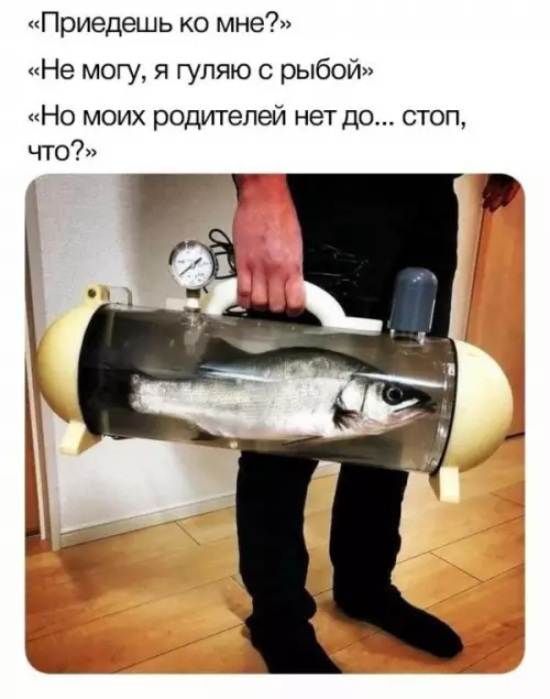 Смешная картинка №653011