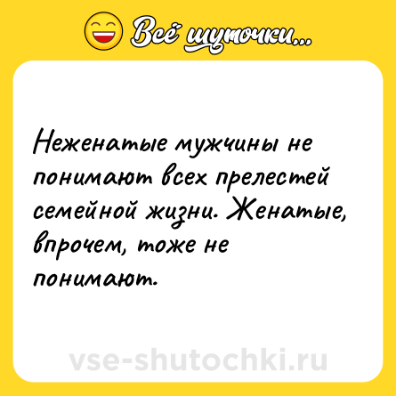 Шутка: Неженатые мужчины не понимают всех прелестей семейной жизни. Женатые, впрочем, тоже не понимают.