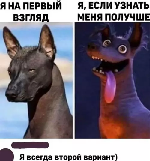 Смешная картинка №546729