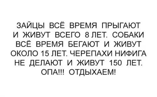 Смешная картинка №230884