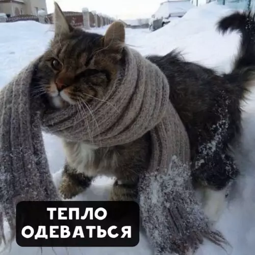 Смешная картинка №427703 Итак, вспомним, что такое зимa
