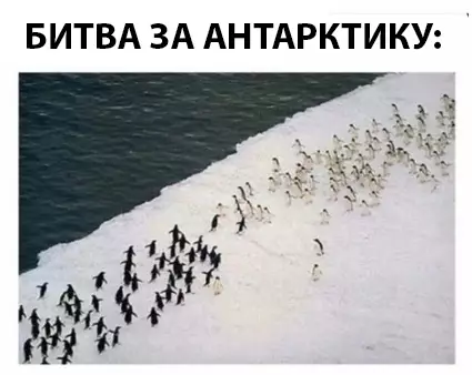 Смешная картинка №294206