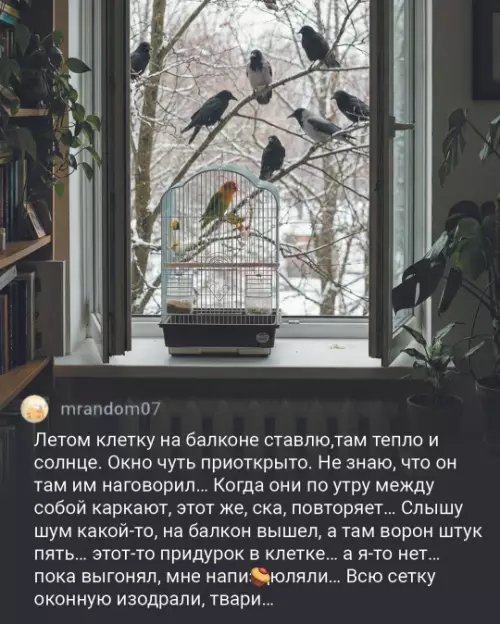 продолжение Смешная картинка №793939 Обзывался