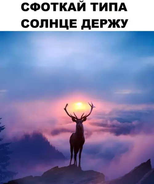 Смешная картинка №313305