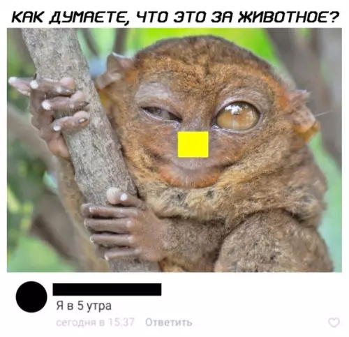 Смешная картинка №384869