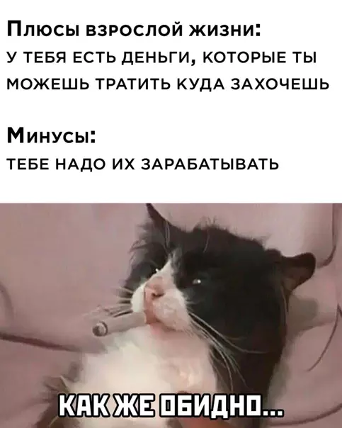 Смешная картинка №562868