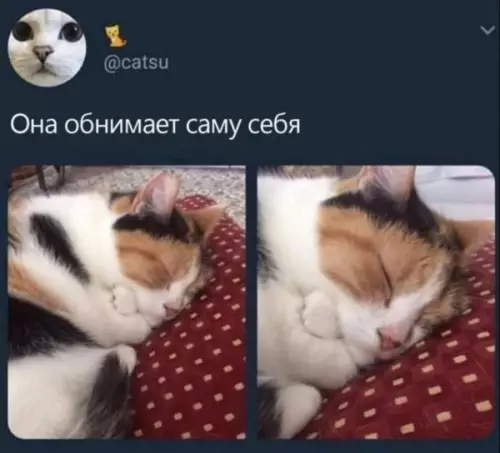 Смешная картинка №657595