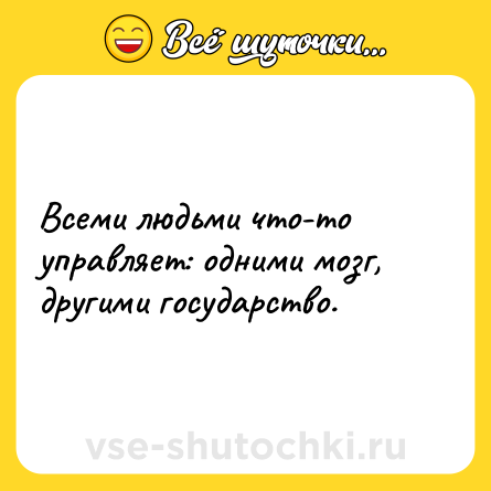 Шутка: Всеми людьми что-то управляет: одними мозг, другими государство.