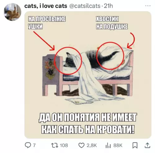 Смешная картинка №724431