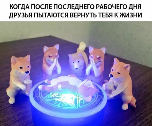 Смешная картинка №312862