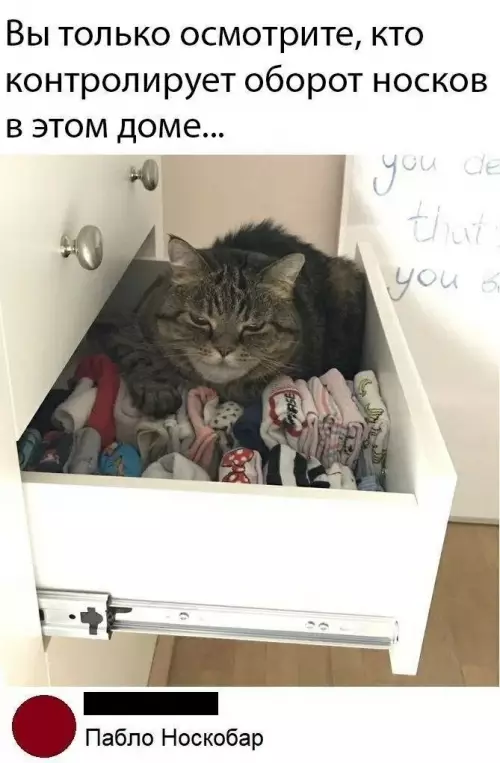 Смешная картинка №791874