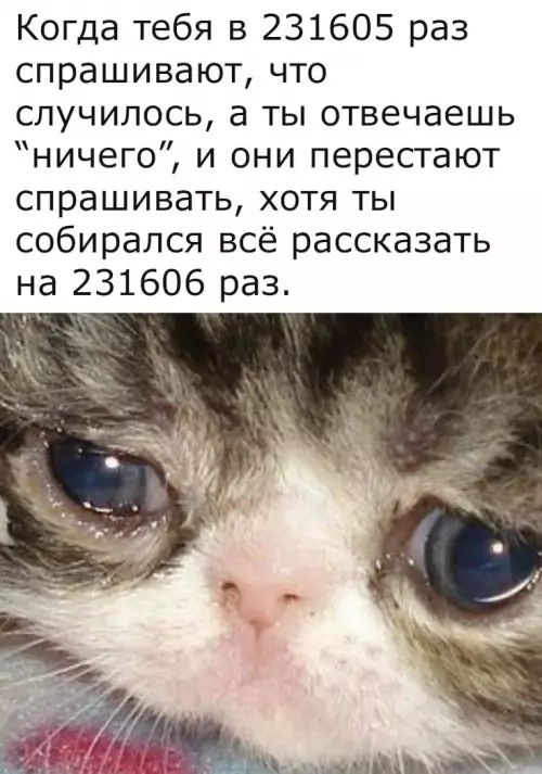 Тот самый момент, когда план провалился 😿 - Когда тебя в 231605 раз спрашивают, что случилось, а ты