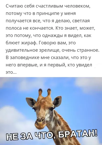 Смешная картинка №328612