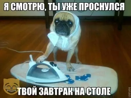 Смешная картинка №480315 #приколы #картинки #мемы ?