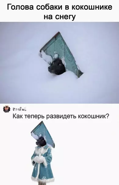 Смешная картинка №622837 Cнeгypoчкa