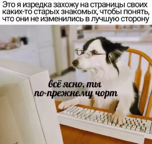 Смешная картинка №732482