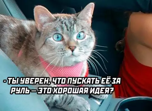 Смешная картинка №697469
