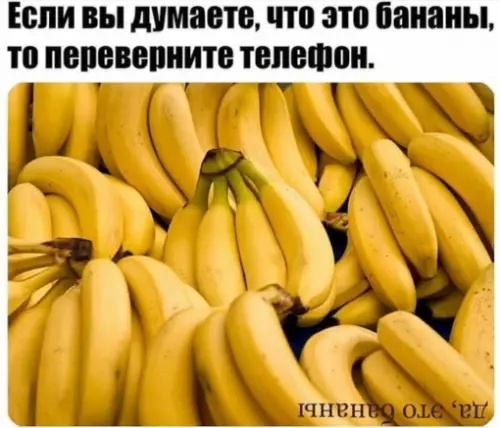 Смешная картинка №709480 Показалось