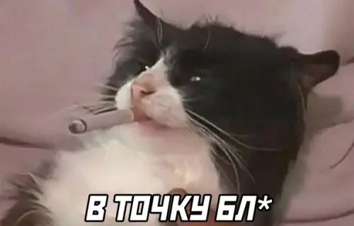 продолжение Смешная картинка №584029 Приходишь к другу с ночёвкой, но он не даёт тебе одеяло.

Ты всю ночь: