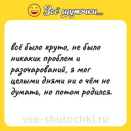 Шутка: всё было круто, не было никаких проблем и разочарований, я мог целыми днями ни о чём не думать, но потом родился.