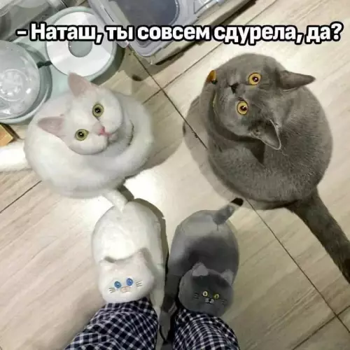 Смешная картинка №757650