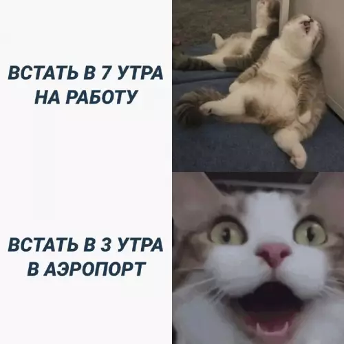 Смешная картинка №661351