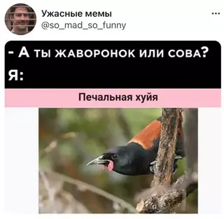 Смешная картинка №663191