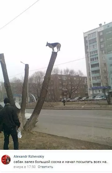 Смешная картинка №251492