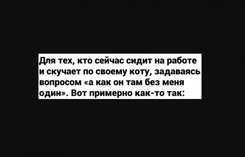 Смешная картинка №613412 Поверьте, котик без вас не скучает))