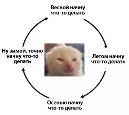 Смешная картинка №742800 Обязательно начну