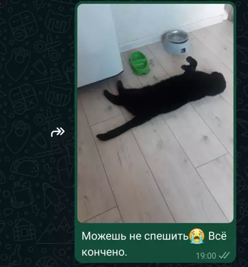 продолжение Смешная картинка №725166