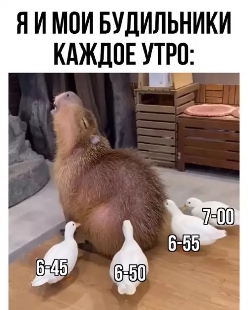 Смешная картинка №711128