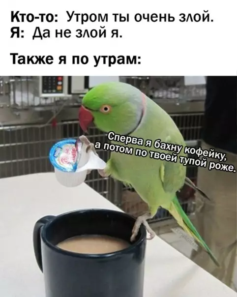 Смешная картинка №543766 Every day