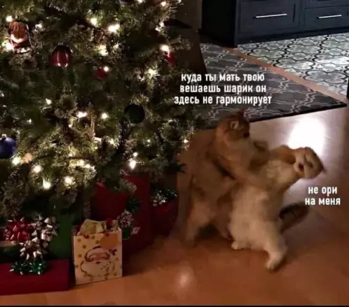 Смешная картинка №664295