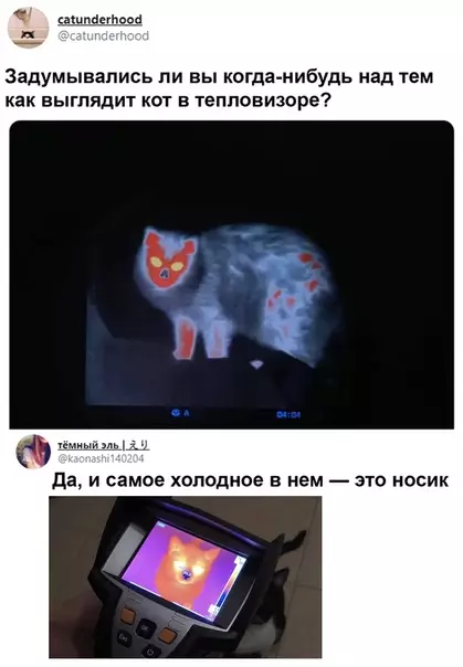 Смешная картинка №507123 Mинyткa зaнимaтeльных фaктoв
