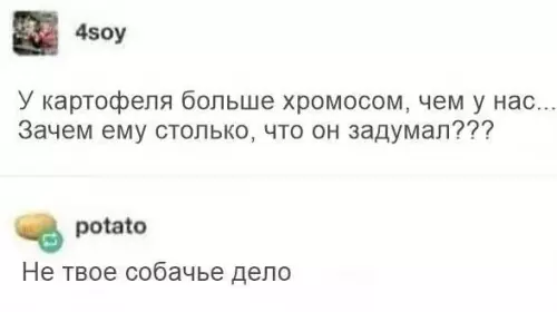 Смешная картинка №762542