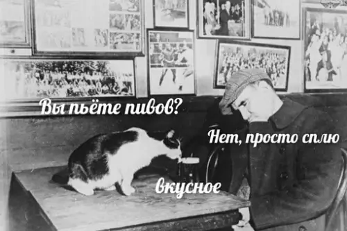 Смешная картинка №629741
