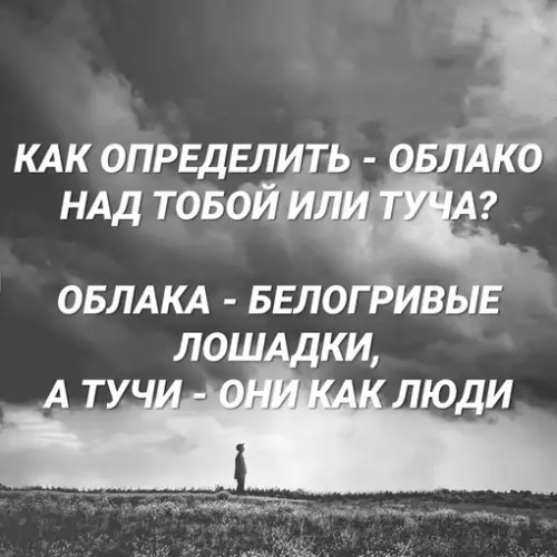 Смешная картинка №659537
