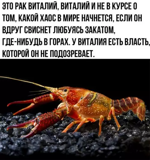 Смешная картинка №279209