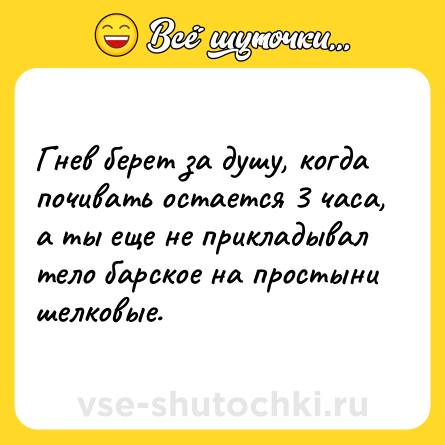 Шутка: Гнев берет за душу, когда почивать остается 3 часа, а ты еще не прикладывал тело барское на простыни шелковые.