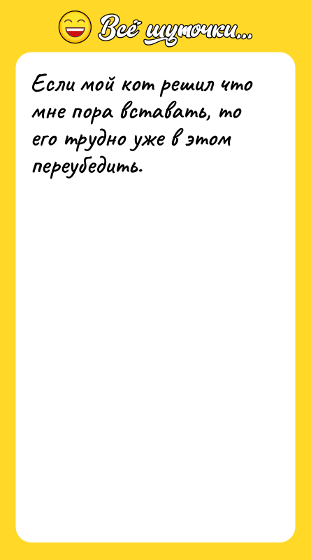 Если мой кот решил что мне пора вставать, то его