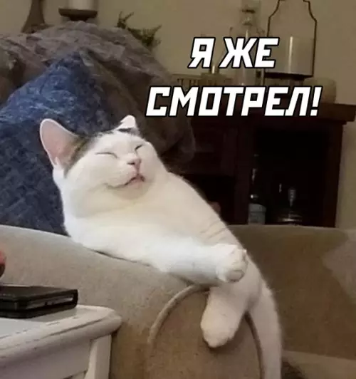 продолжение Смешная картинка №590713 Когда выключил телевизор около спящего бати: Коты