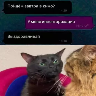 Смешная картинка №697465