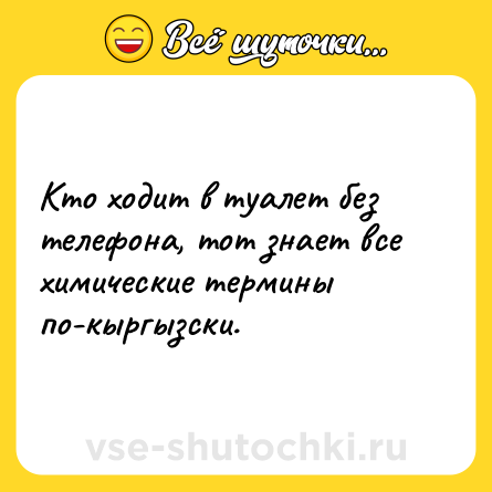 Шутка: Кто ходит в туалет без телефона, тот знает все химические термины по-кыргызски.